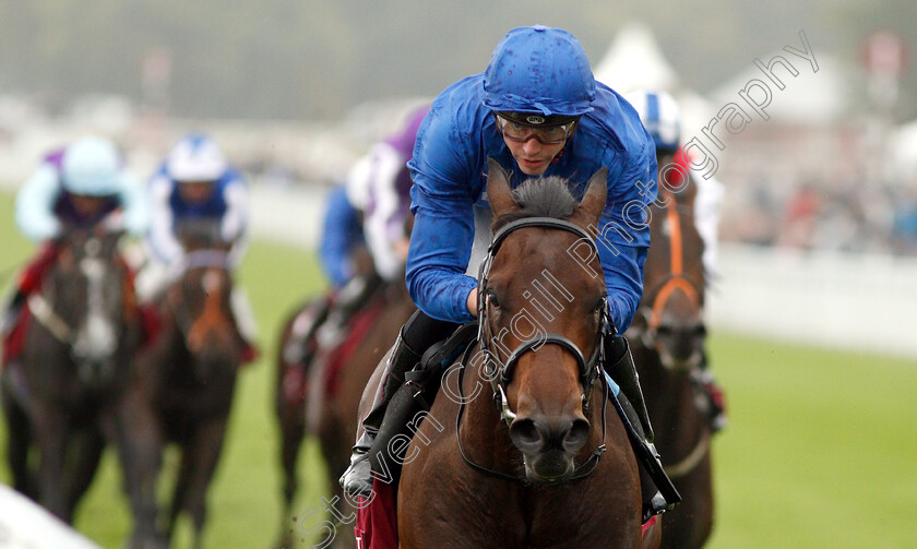 Pinatubo-0006 
 PINATUBO (James Doyle) wins The Qatar Vintage Stakes
Goodwood 30 Jul 2019 - Pic Steven Cargill / Racingfotos.com