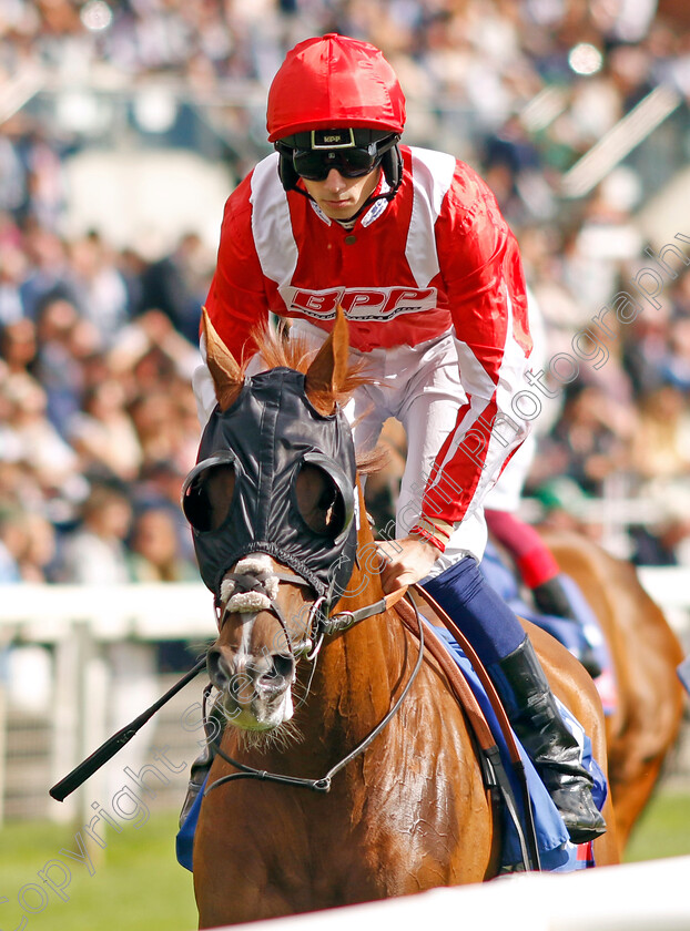 Berkshire-Rocco-0001 
 BERKSHIRE ROCCO (Callum Hutchinson)
York 26 Aug 2023 - Pic Steven Cargill / Racingfotos.com