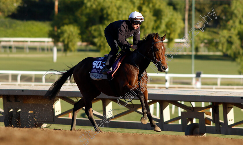 Big-Evs-0001 
 BIG EVS training for The Breeders' Cup Turf Sprint
Santa Anita USA, 31 October 2023 - Pic Steven Cargill / Racingfotos.com