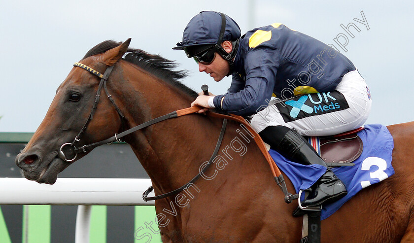 Desert-Wind-0005 
 DESERT WIND (Stevie Donohoe) wins The 32Red Handicap
Kempton 5 Jun 2019 - Pic Steven Cargill / Racingfotos.com