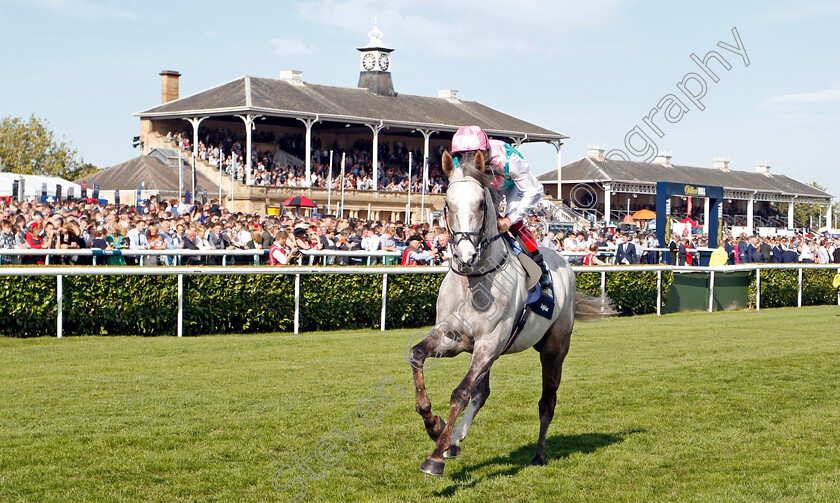 Logician-0004 
 LOGICIAN (Frankie Dettori) before The William Hill St Leger
Doncaster 14 Sep 2019 - Pic Steven Cargill / Racingfotos.com