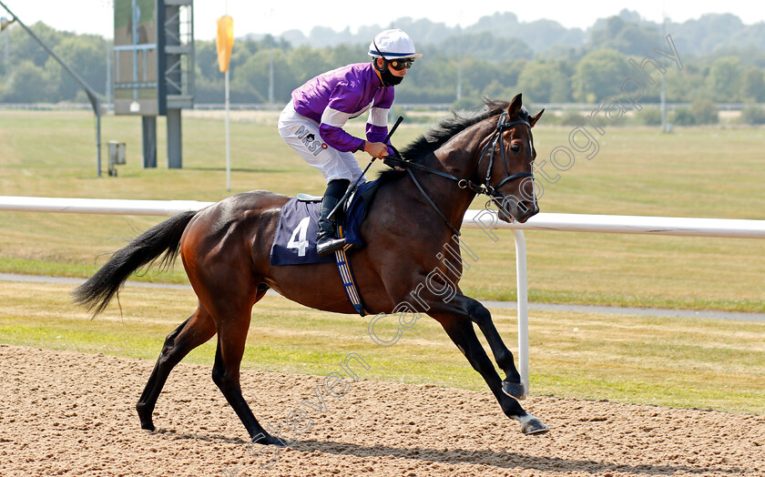 Starseed-0001 
 STARSEED (Stefano Cherchi)
Wolverhampton 11 Aug 2020 - Pic Steven Cargill / Racingfotos.com