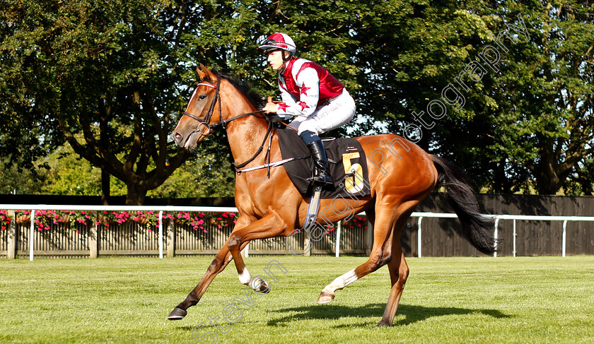 Oribi-0001 
 ORIBI (Georgia Cox) 
Newmarket 28 Jun 2019 - Pic Steven Cargill / Racingfotos.com