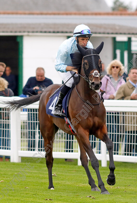 Forgotten-Treasure-0001 
 FORGOTTEN TREASURE (Neil Callan)
Yarmouth 20 Sep 2023 - Pic Steven Cargill / Racingfotos.com