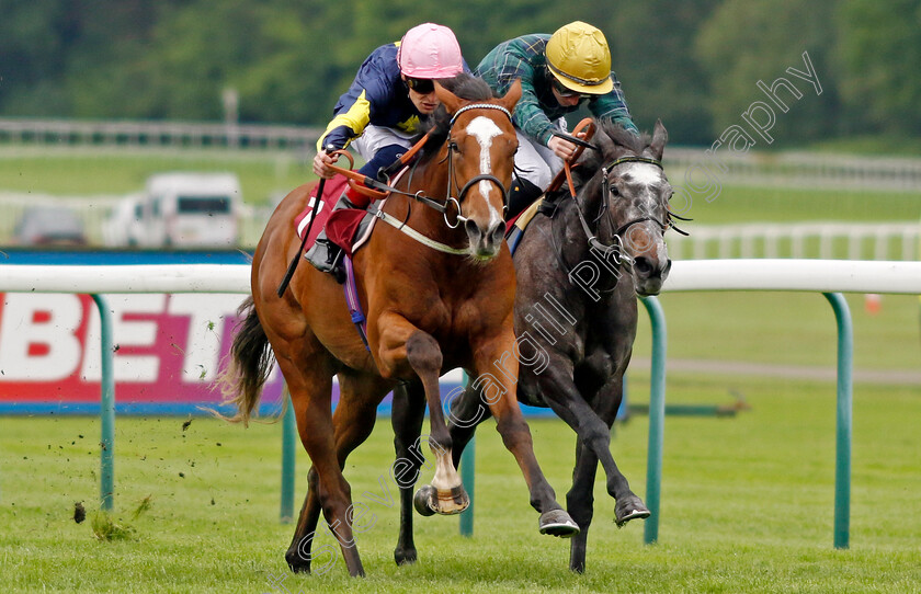 Thewind-Cries-Mary-0004 
 THEWIND CRIES MARY (left, Callum Rodriguez) beats SHEMOZZLE (right) in The Oakmere Homes Supporting Macmillan Fillies Novice Stakes
Haydock 24 May 2024 - Pic Steven Cargill / Racingfotos.com