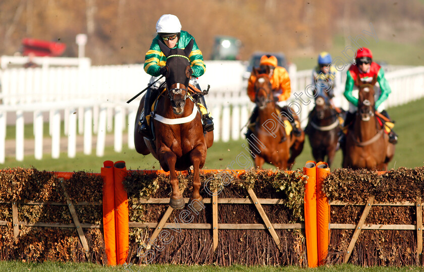 Never-Adapt-0001 
 NEVER ADAPT (Barry Geraghty)
Cheltenham 17 Nov 2018 - Pic Steven Cargill / Racingfotos.com