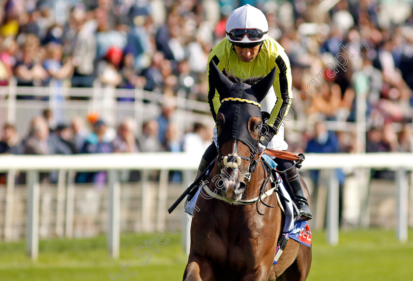 Burdett-Road-0003 
 BURDETT ROAD (Silvestre De Sousa)
York 24 Aug 2024 - Pic Steven Cargill / Racingfotos.com