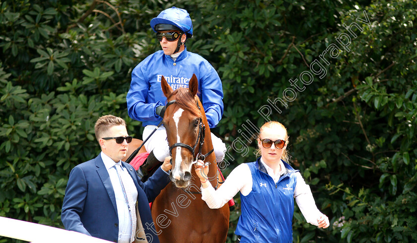 Expressionist-0001 
 EXPRESSIONIST (Kerrin McEvoy)
Sandown 5 Jul 2019 - Pic Steven Cargill / Racingfotos.com