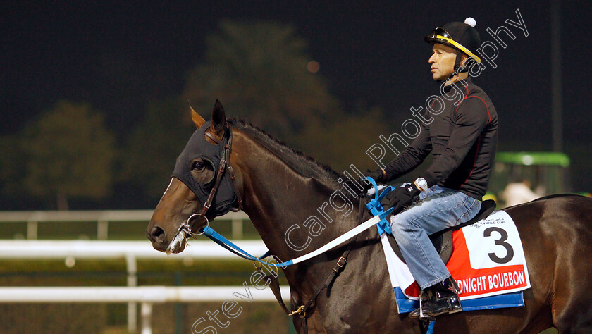 Midnight-Bourbon-0002 
 MIDNIGHT BOURBON training for the Dubai World Cup
Meydan, Dubai, 22 Mar 2022 - Pic Steven Cargill / Racingfotos.com