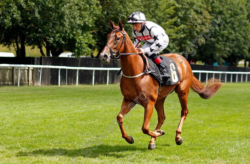 Tezzaray-0001 
 TEZZARAY (Shane Kelly)
Newmarket 7 Aug 2021 - Pic Steven Cargill / Racingfotos.com