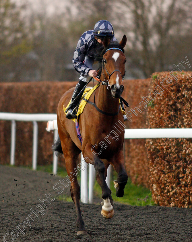 Denable-0001 
 DENABLE (William Carson)
Kempton 31 Mar 2021 - Pic Steven Cargill / Racingfotos.com