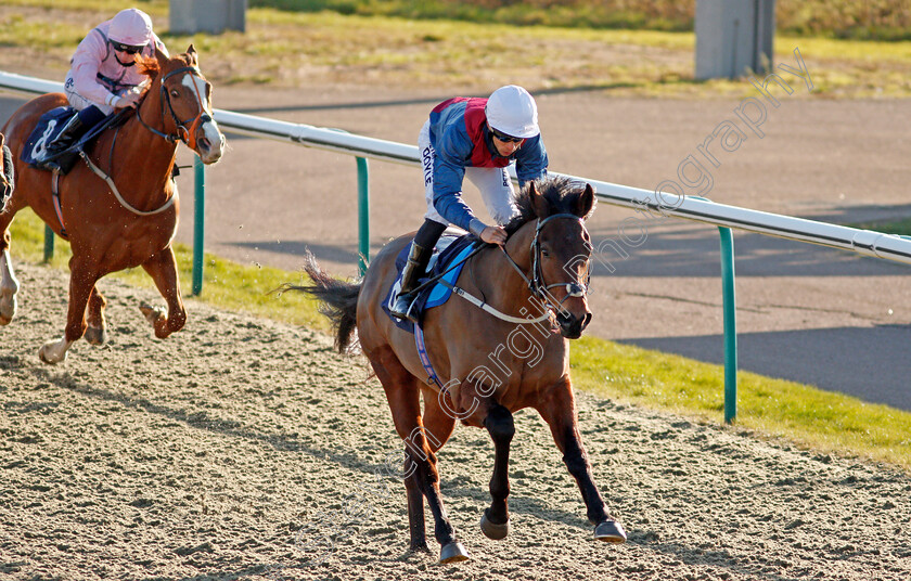 Mercurist-0002 
 MERCURIST (Sean Levey) wins The Bombardier British Hopped Amber Beer Handicap Div1
Lingfield 26 Feb 2021 - Pic Steven Cargill / Racingfotos.com