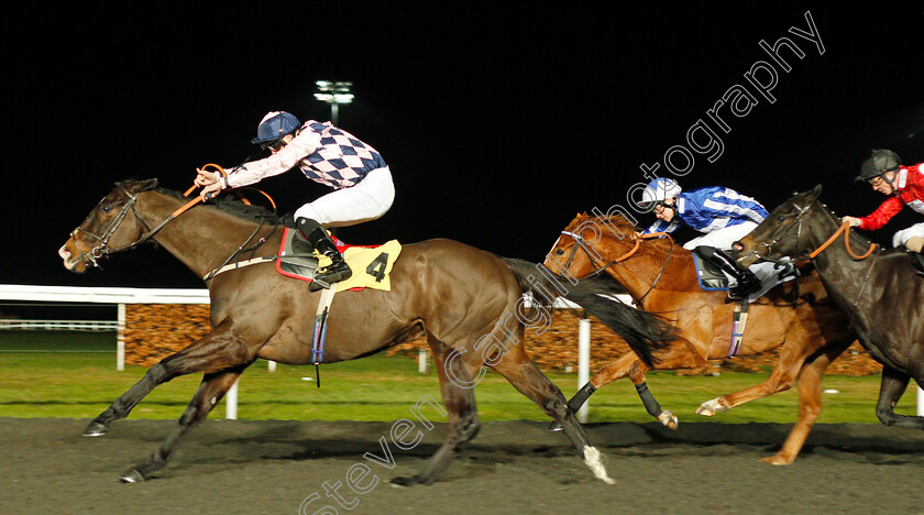 Treacherous-0002 
 TREACHEROUS (Jack Mitchell) wins The 32Red Handicap
Kempton 19 Feb 2020 - Pic Steven Cargill / Racingfotos.com