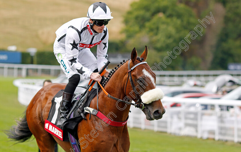 Dickieburd 
 DICKIEBURD (Barry McHugh)
Goodwood 27 Jul 2022 - Pic Steven Cargill / Racingfotos.com