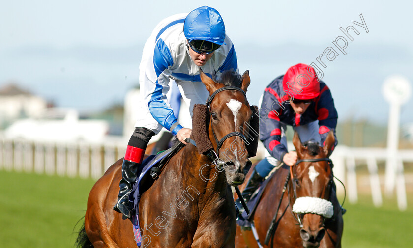 Ropey-Guest-0006 
 ROPEY GUEST (Tom Queally) wins The Sky Sports Racing Sky 415 Handicap
Yarmouth 15 Sep 2021 - Pic Steven Cargill / Racingfotos.com