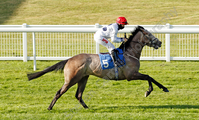 Cool-Knight-0001 
 COOL KNIGHT (Georgia Dobie)
Salisbury 11 Jul 2020 - Pic Steven Cargill / Racingfotos.com