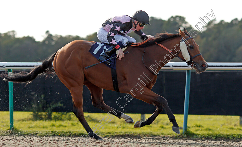 Entertaining-Ben-0005 
 ENTERTAINING BEN (Kieran Shoemark) wins The Fireworks Night At Lingfield Park Handicap Lingfield 5 Oct 2017 - Pic Steven Cargill / Racingfotos.com