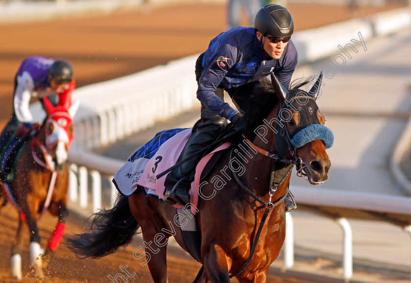 Dancing-Prince-0002 
 DANCING PRINCE training for The Dirt Sprint
King Abdulaziz Racetrack, Riyadh, Saudi Arabia 23 Feb 2022 - Pic Steven Cargill / Racingfotos.com