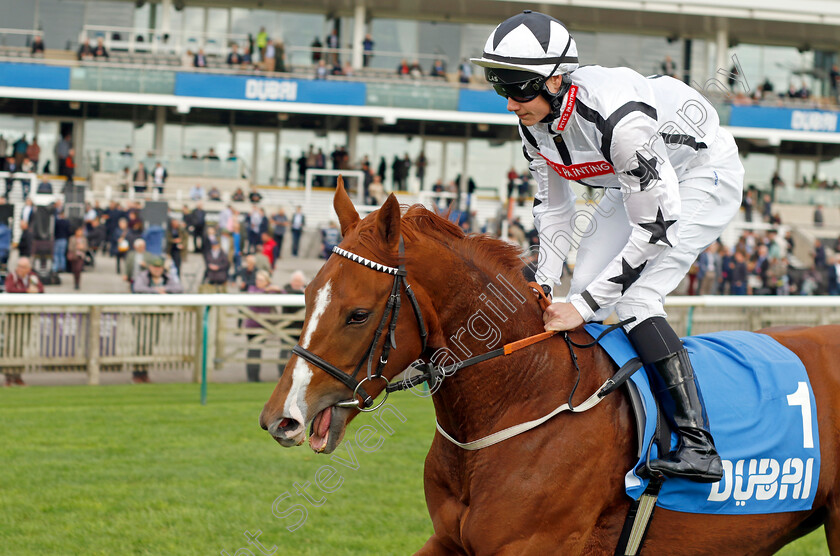 Bellarchi-0001 
 BELLARCHI (Oliver Stammers)
Newmarket 13 Oct 2023 - Pic Steven Cargill / Racingfotos.com