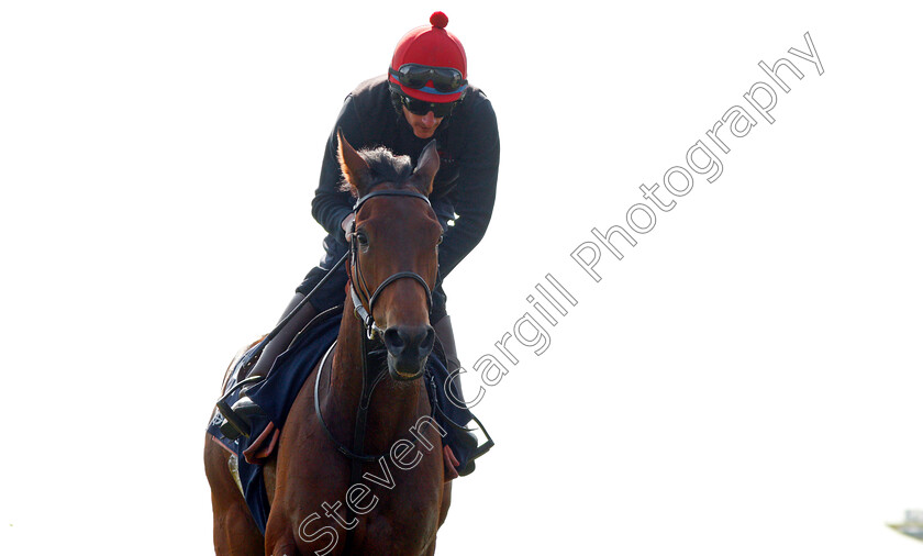 Perfect-Clarity-0012 
 PERFECT CLARITY (Adam, Kirby) exercising at Epsom Racecourse in preparation for The Investec Oaks, 22 May 2018 - Pic Steven Cargill / Racingfotos.com