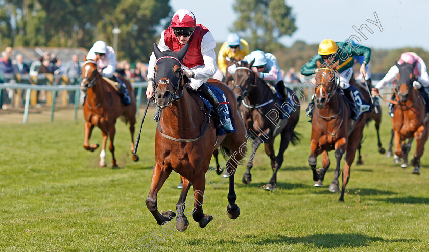 Fanny-Logan-0006 
 FANNY LOGAN (Robert Havlin) wins The EBF Stallions John Musker Fillies Stakes
Yarmouth 18 Sep 2019 - Pic Steven Cargill / Racingfotos.com