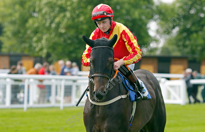 Bare-Grils-0002 
 BARE GRILS (Adam Farragher)
Salisbury 12 Aug 2021 - Pic Steven Cargill / Racingfotos.com