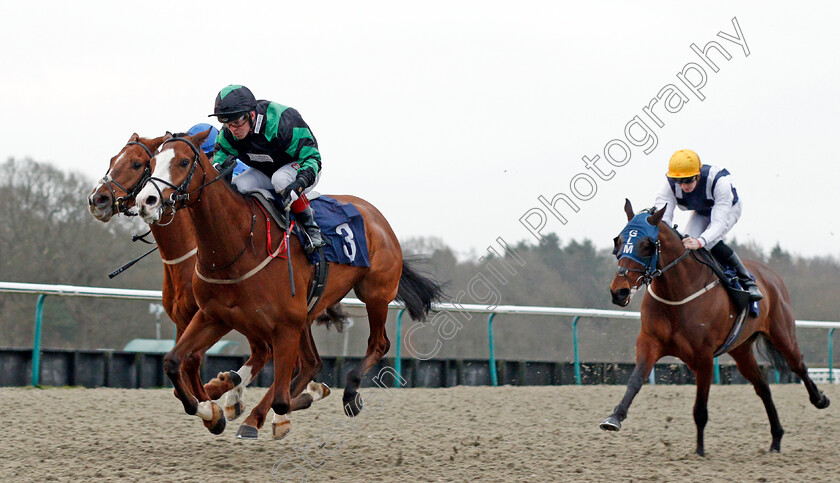 Alvaro-0003 
 ALVARO (Franny Norton) wins The Heed Your Hunch At Betway Handicap
Lingfield 14 Feb 2020 - Pic Steven Cargill / Racingfotos.com