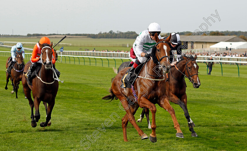 Madame-Ambassador-0001 
 MADAME AMBASSADOR (Franny Norton) wins The British EBF Premier Fillies Handicap
Newmarket 7 Oct 2023 - Pic Steven Cargill / Racingfotos.com