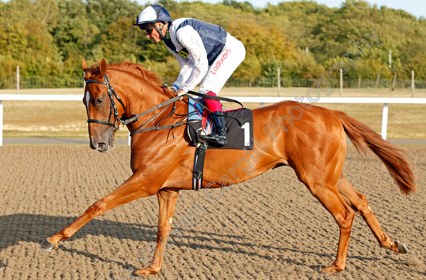 Cobber-Kain-0002 
 COBBER KAIN (Frankie Dettori) winner of The Bet At totesport.com Median Auction Maiden Stakes
Chelmsford 4 Sep 2019 - Pic Steven Cargill / Racingfotos.com