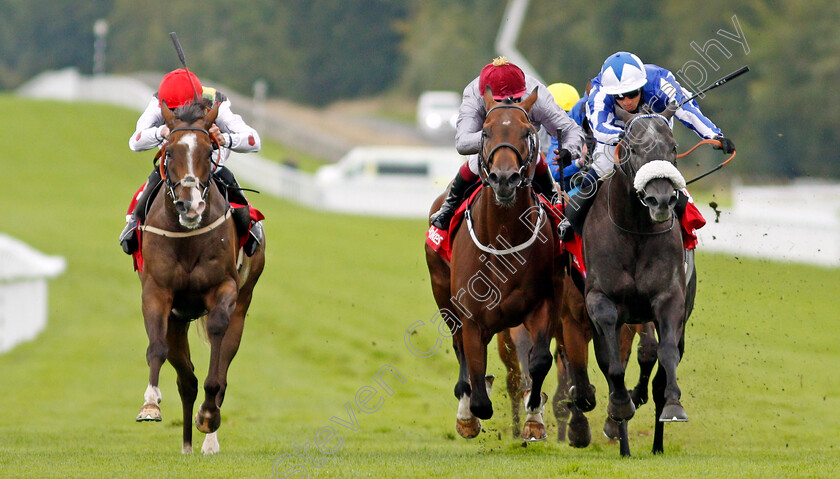 Happy-Power-0003 
 HAPPY POWER (right, Silvestre De Sousa) beats TORO STRIKE (centre) and ESCOBAR (left) in The Ladbrokes Supreme Stakes
Goodwood 30 Aug 2020 - Pic Steven Cargill / Racingfotos.com