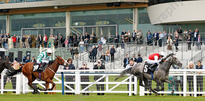 Jasour-0004 
 JASOUR (Jim Crowley) beats ADAAY IN DEVON (left) in The Commonwealth Cup Trial Stakes
Ascot 1 May 2024 - Pic Steven Cargill / Racingfotos.com