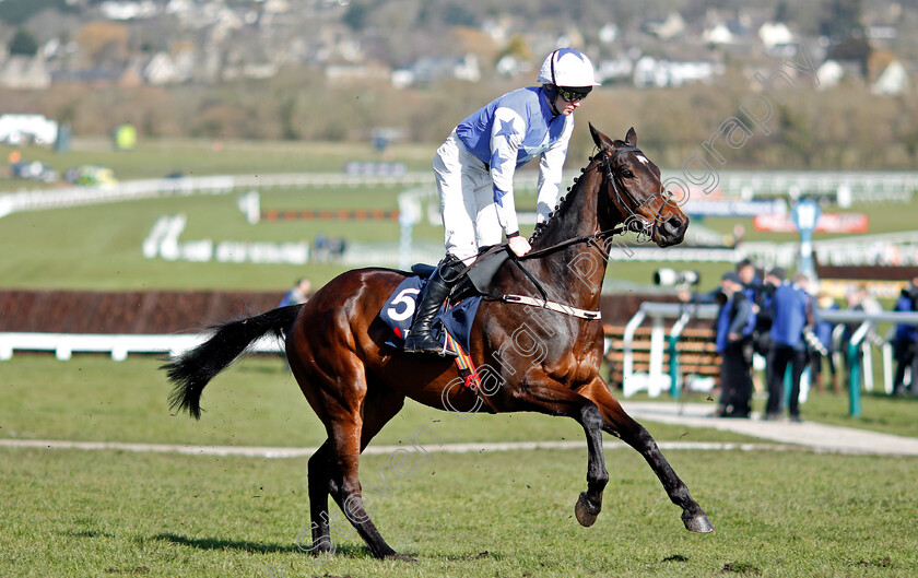 Kemboy-0001 
 KEMBOY (Paul Townend) Cheltenham 15 Mar 2018 - Pic Steven Cargill / Racingfotos.com