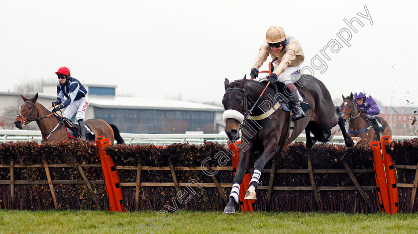 Dame-Rose-0002 
 DAME ROSE (Richard Johnson) beats CAP SOLEIL (left) in The Ladbrokes Mares Novices Hurdle Newbury 2 Dec 2017 - Pic Steven Cargill / Racingfotos.com