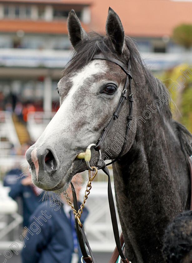 Thoughts-Of-June-0010 
 THOUGHTS OF JUNE winner of The Weatherbys Bloodstock Pro Cheshire Oaks
Chester 4 May 2022 - Pic Steven Cargill / Racingfotos.com