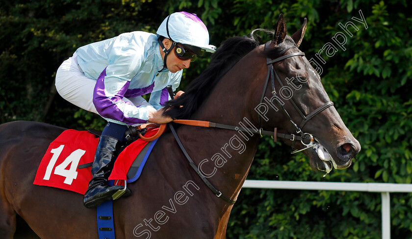 Ventorro-0001 
 VENTORRO (William Buick)
Sandown 15 Jun 2024 - Pic Steven Cargill / Racingfotos.com