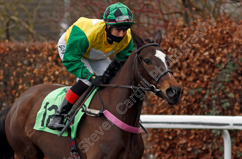 Tobie-Jones-0001 
 TOBIE JONES (William Cox)
Kempton 16 Feb 2021 - Pic Steven Cargill / Racingfotos.com