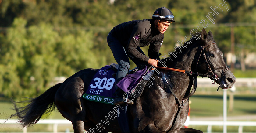 King-Of-Steel-0006 
 KING OF STEEL training for The Breeders' Cup Turf 
Santa Anita USA, 31 October 2023 - Pic Steven Cargill / Racingfotos.com