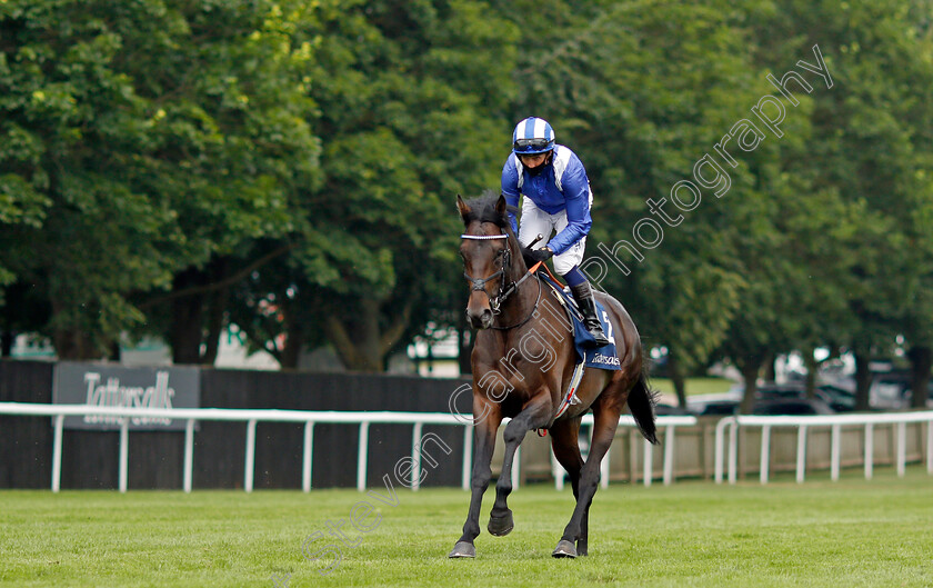 Al-Aasy-0001 
 AL AASY (Jim Crowley)
Newmarket 8 Jul 2021 - Pic Steven Cargill / Racingfotos.com