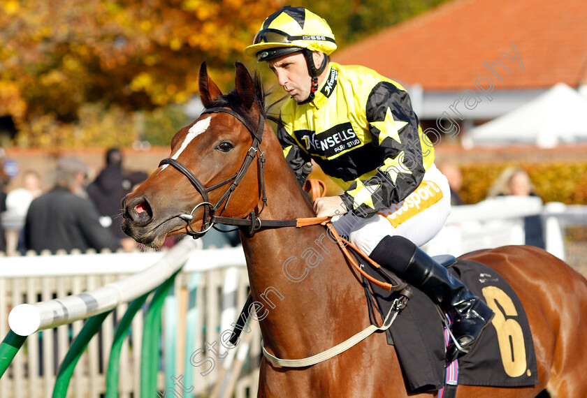 Rubina-Rose-0001 
 RUBINA ROSE (Neil Callan)
Newmarket 19 Oct 2022 - Pic Steven Cargill / Racingfotos.com