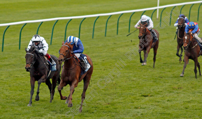 Zeyaadah-0005 
 ZEYAADAH (Jim Crowley) beats MYSTERY ANGEL (left) in The British Stallion Studs EBF Montrose Fillies Stakes
Newmarket 31 Oct 2020 - Pic Steven Cargill / Racingfotos.com