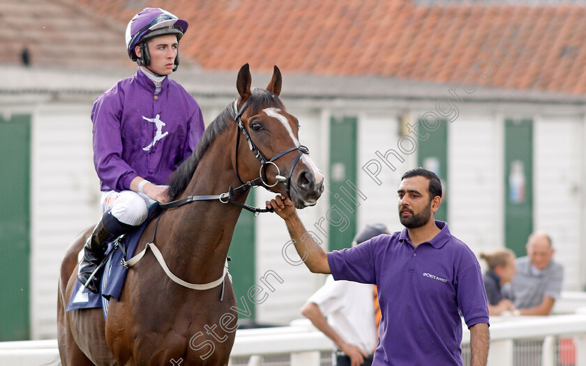 Prince-Alex-0001 
 PRINCE ALEX (Rossa Ryan)
Yarmouth 16 Sep 2021 - Pic Steven Cargill / Racingfotos.com