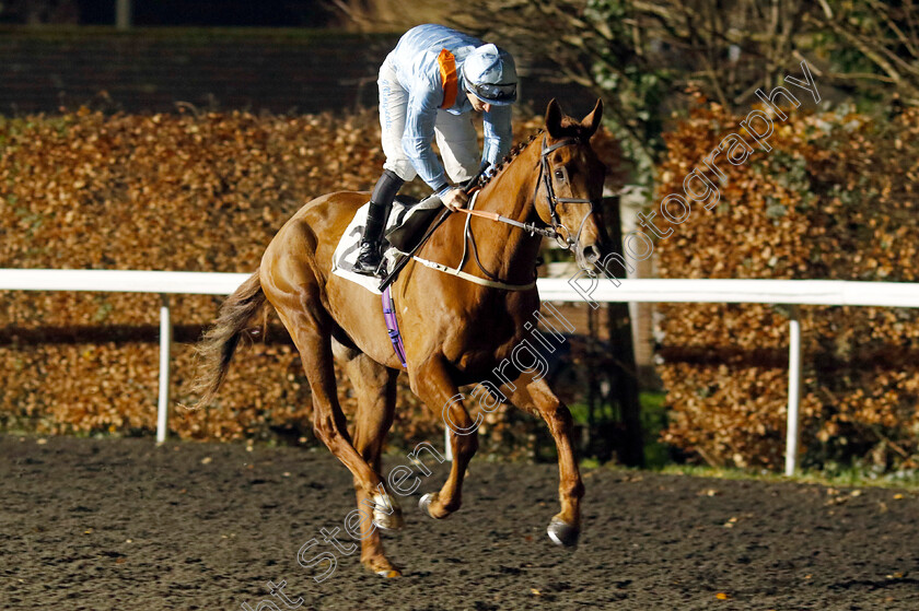 Dear-My-Friend-0001 
 DEAR MY FRIEND (Richard Kingscote)
Kempton 4 Dec 2024 - Pic Steven Cargill / Racingfotos.com