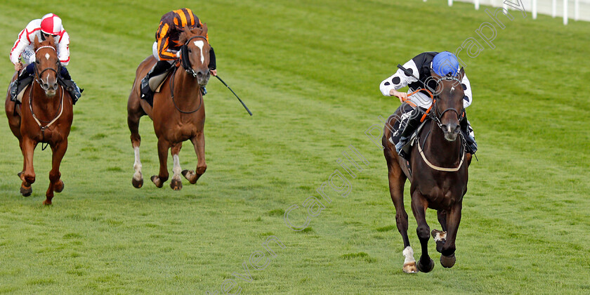 Badenscoth-0003 
 BADENSCOTH (George Downing) wins The Ladbrokes Best Odds Guaranteed Handicap
Goodwood 29 Aug 2020 - Pic Steven Cargill / Racingfotos.com