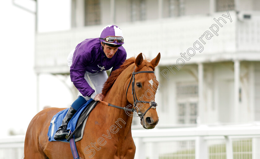 Sir-Rumi-0008 
 SIR RUMI (William Buick) winner of The Betfred Nifty Fifty Great Metropolitan Handicap
Epsom 25 Apr 2023 - Pic Steven Cargill / Racingfotos.com