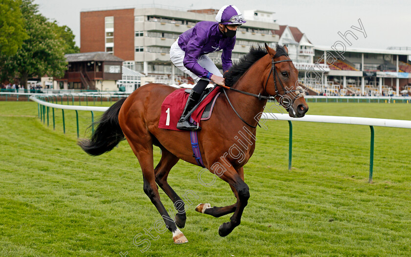 Caio-Shark-0001 
 CAIO SHARK (James Doyle) winner of The British Stallion Studs EBF Novice Stakes
Haydock 28 May 2021 - Pic Steven Cargill / Racingfotos.com