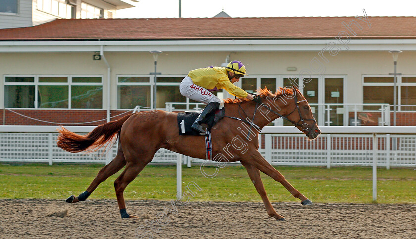 Sea-Empress-0005 
 SEA EMPRESS (Tom Marquand) wins The EBF Fillies Novice Stakes
Chelmsford 3 Jun 2021 - Pic Steven Cargill / Racingfotos.com