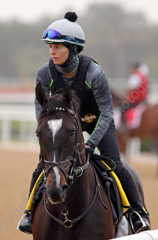 Catnip-0001 
 CATNIP traing for The Dubai Turf
Meydan Dubai 26 Mar 2024 - Pic Steven Cargill / Racingfotos.com