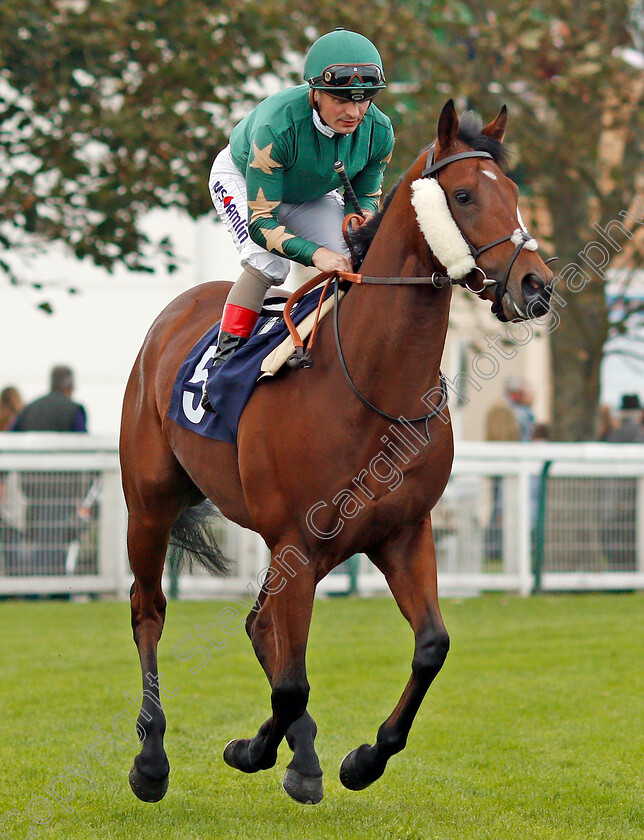 Lazarus-0001 
 LAZARUS (Andrea Azteni) Yarmouth 24 Oct 2017 - Pic Steven Cargill / Racingfotos.com