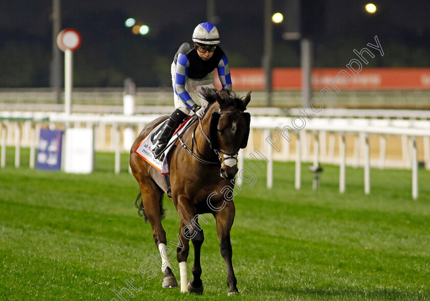 Western-Writer-0001 
 WESTERN WRITER (Tadhg O'Shea)
Meydan 2 Feb 2024 - Pic Steven Cargill / Racingfotos.com