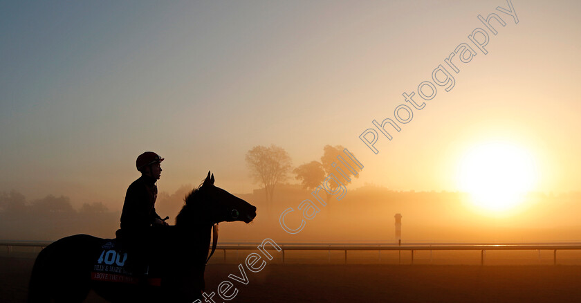 Above-The-Curve-0001 
 ABOVE THE CURVE at sunrise during training for the Breeders' Cup Filly & Mare Turf
Keeneland USA 3 Nov 2022 - Pic Steven Cargill / Racingfotos.com